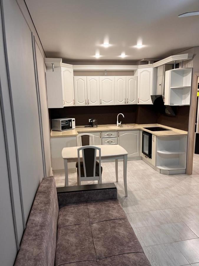 Zhalgin'S Apartments 1 Turksib エクステリア 写真